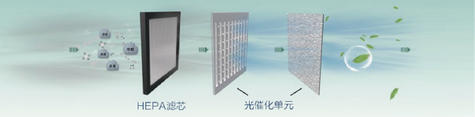 UVALED光源與TiO2光催化泡沫陶瓷組合結構